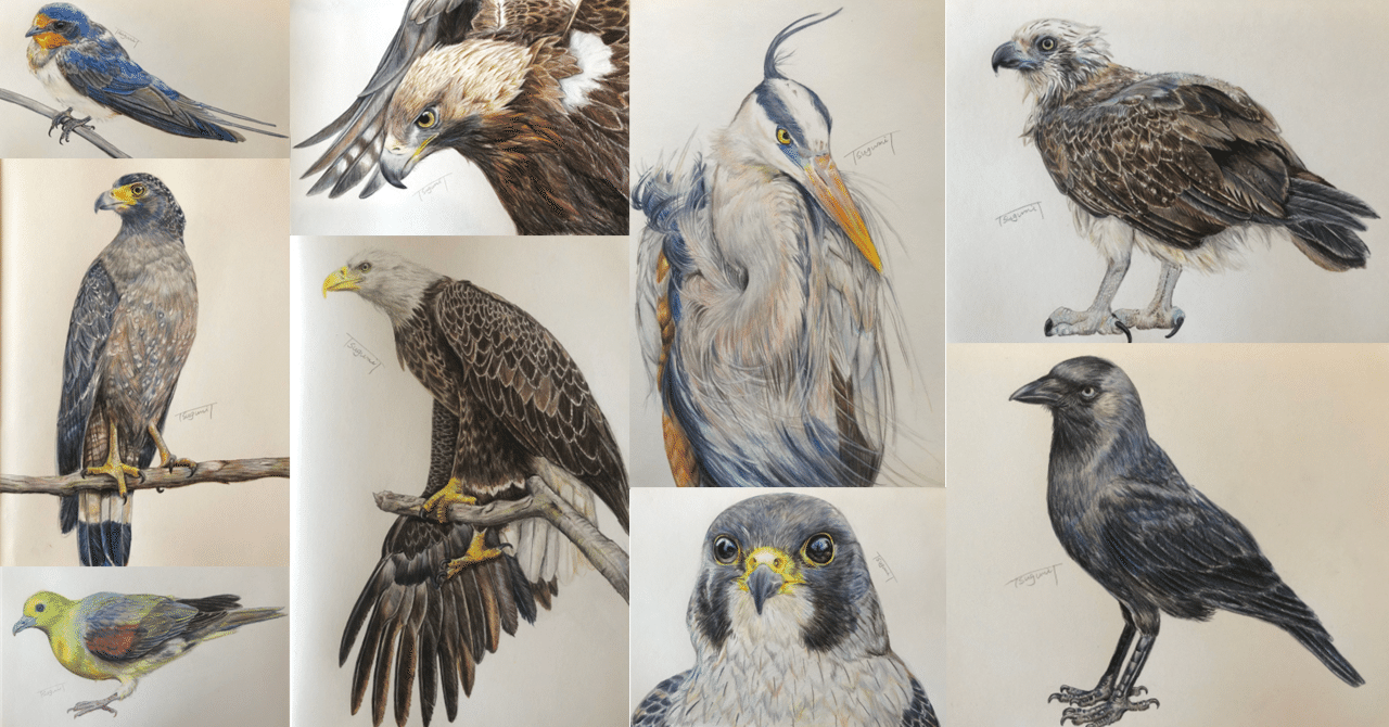 5ec00f035634d25c2b601b3547f304