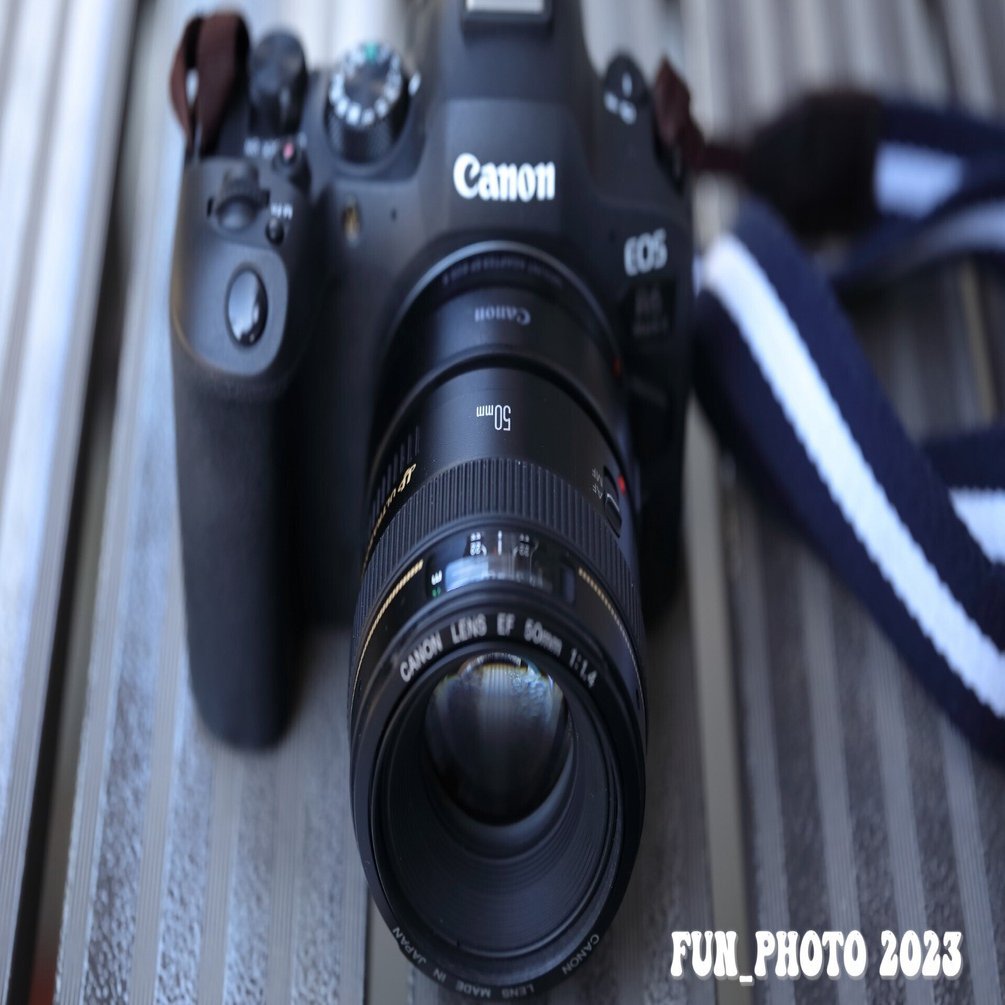 Canon EF 50mm F1.4 USM レンズ 美品 動作良好 Amazon.co.jp: Canon 単焦点レンズ EF50mm F1.4 USM フルサイズ対応