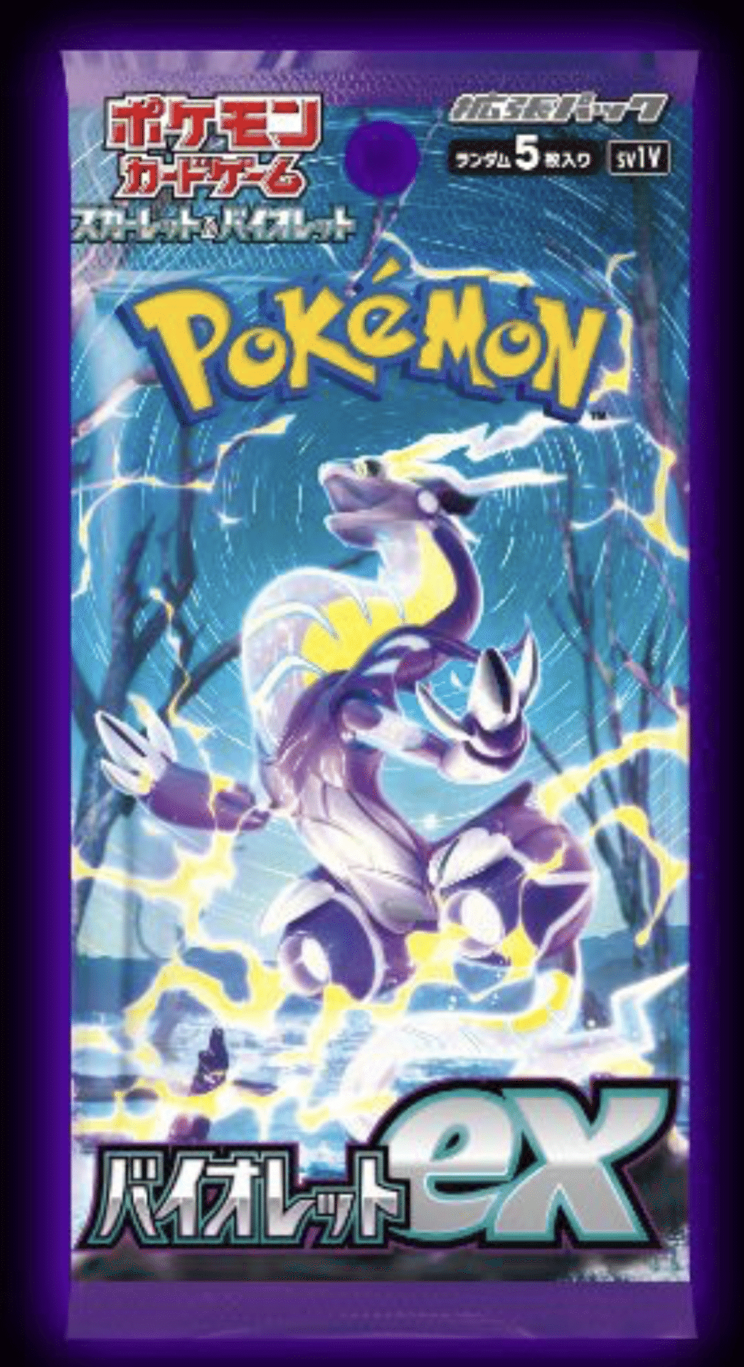 ポケモンセンター2010年 お誕生日 ジャンボカード ＿の