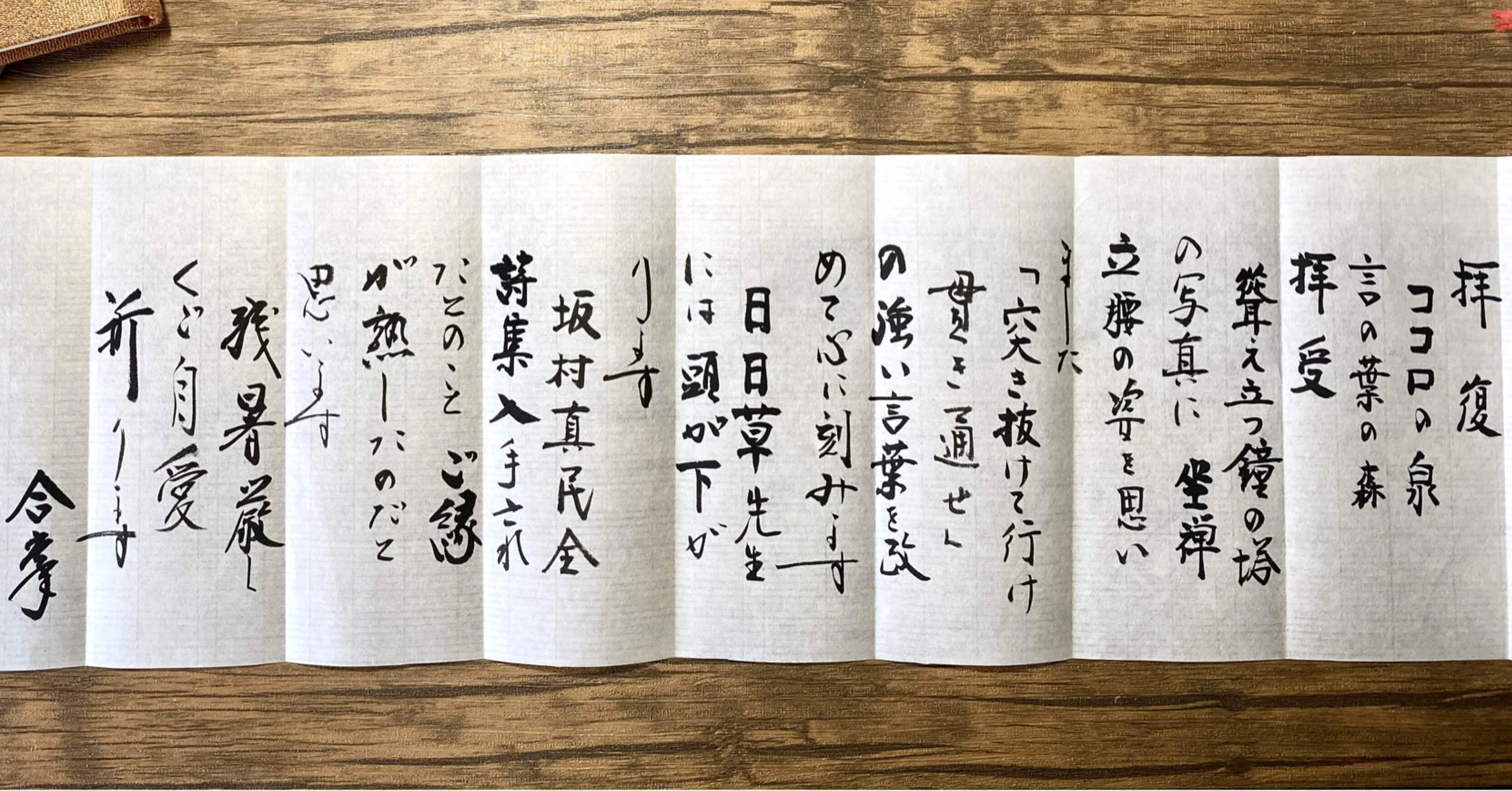 念に生きる｜。まみつぶ 。⚪︎。