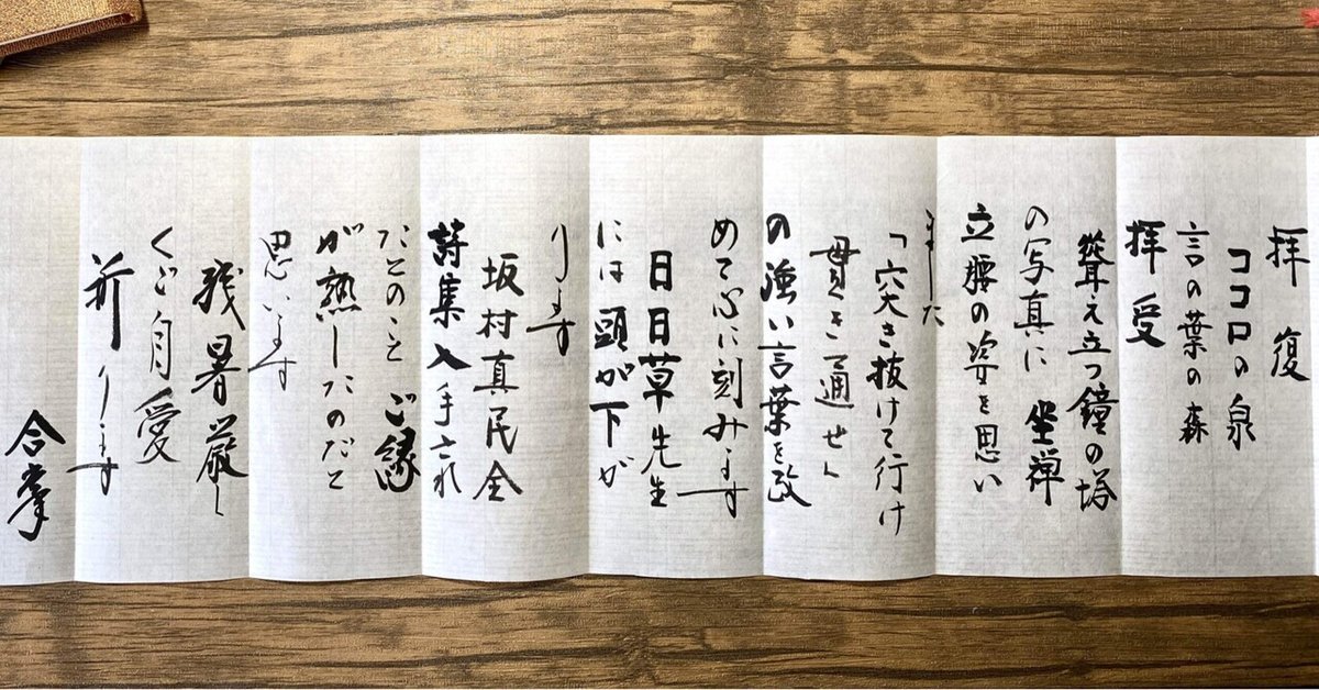 念に生きる｜。まみつぶ 。⚪︎。