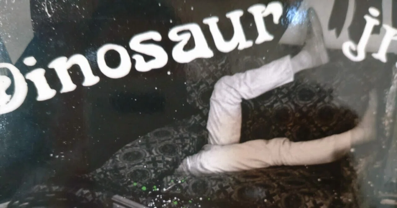Dinosaur Jr. is Unstoppable! It's Beyond｜つちやいっぺい