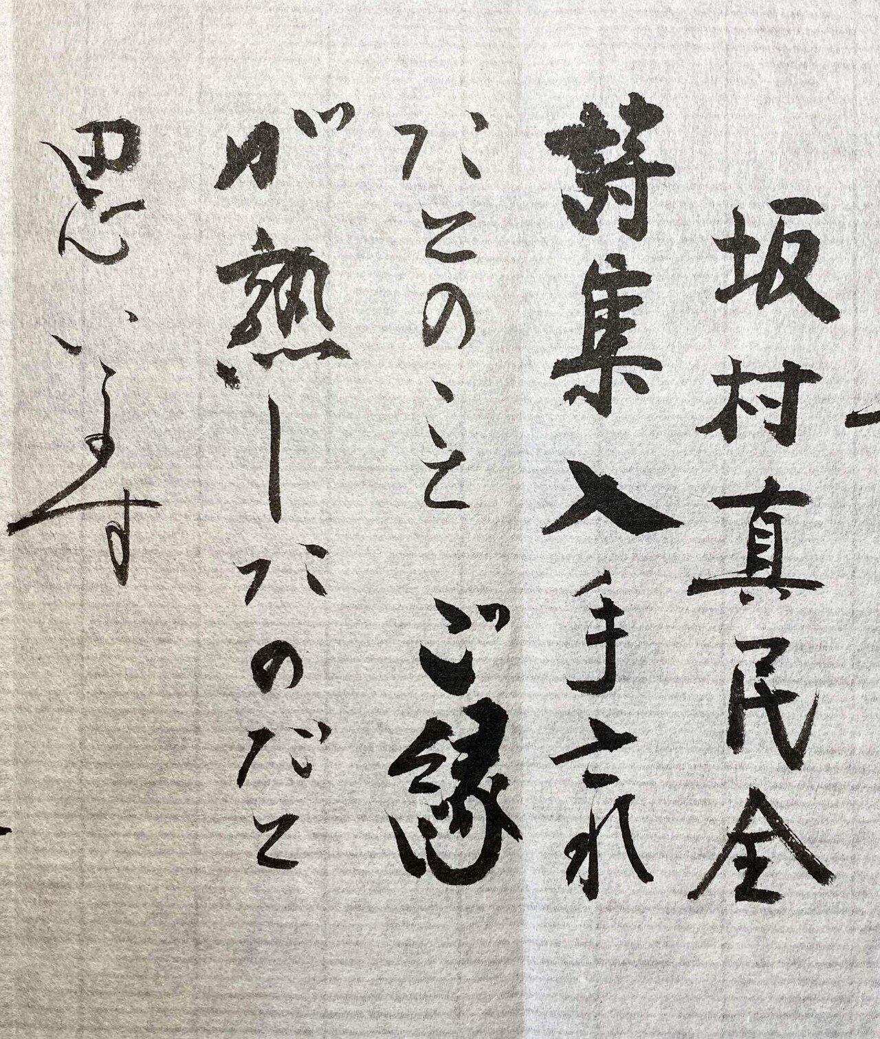 念に生きる｜。まみつぶ 。⚪︎。