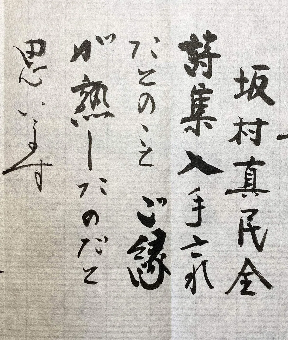念に生きる｜。まみつぶ 。⚪︎。