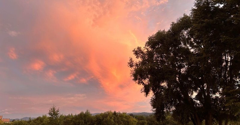 科学研究（科学研究とは何か、その種類と方法論）