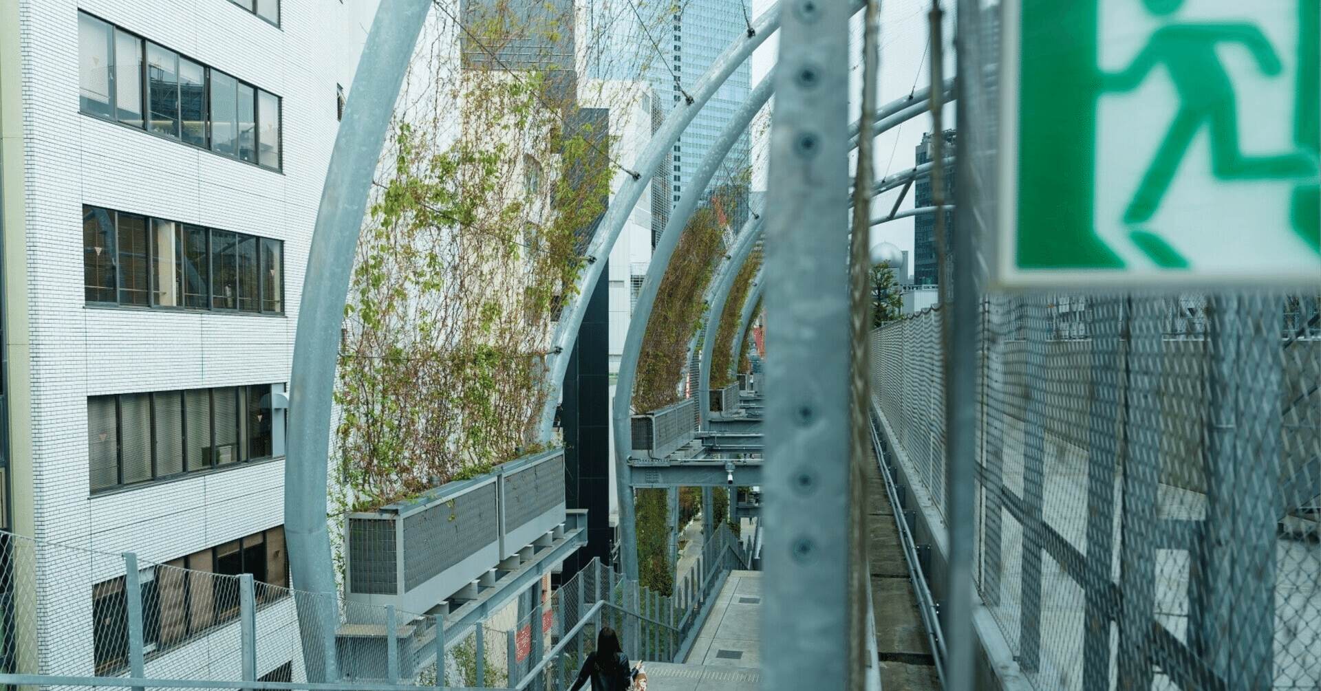 MT4に指標を表示するインジケーター ソースコード付き｜ホソノP