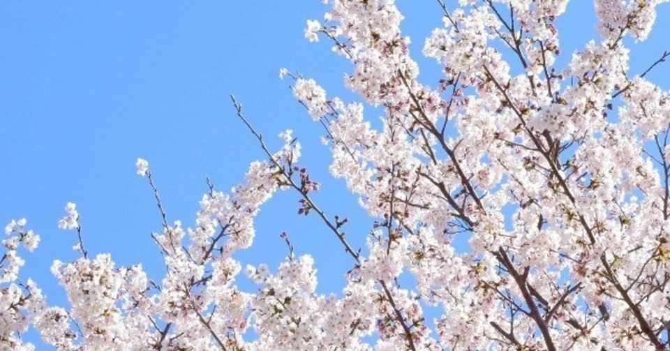 新元号ダジャレまとめ Haya Note