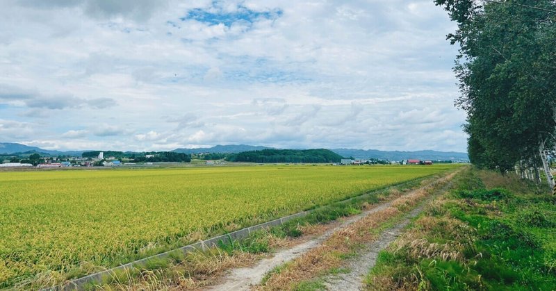 【夏の北海道】長沼町〜妄想ジブリなことりっぷ〜