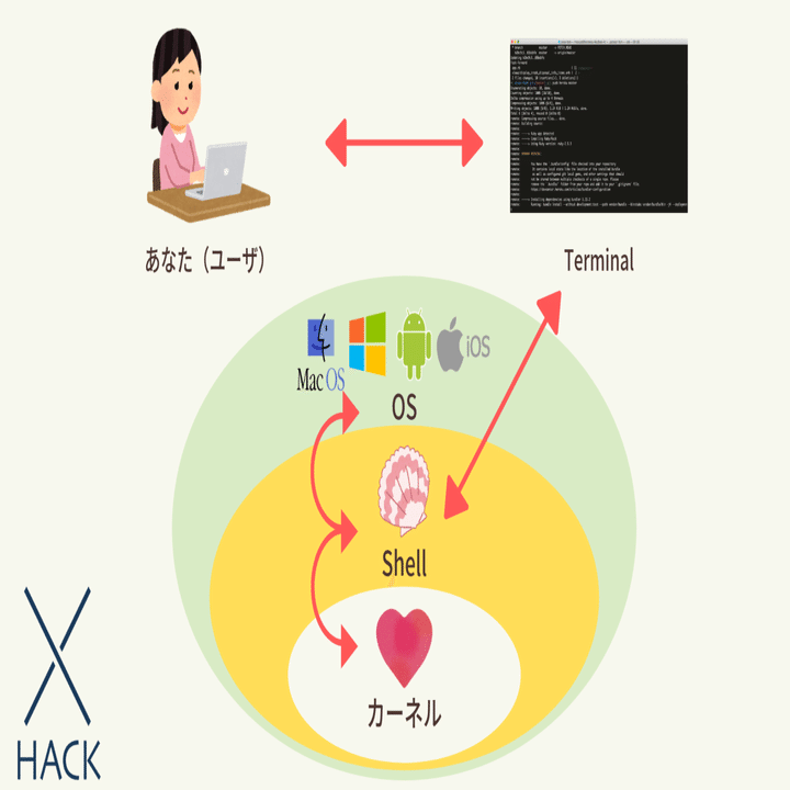 超ざっくり解説シリーズ３ シェル Shell とは シェルについて初心者にもわかりやすく解説するよ とよもも Note