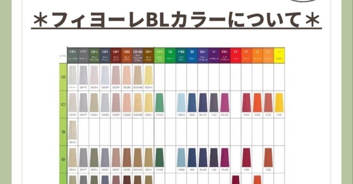 フィヨーレ　カラー剤　54本セット フィヨーレBLカラー54本