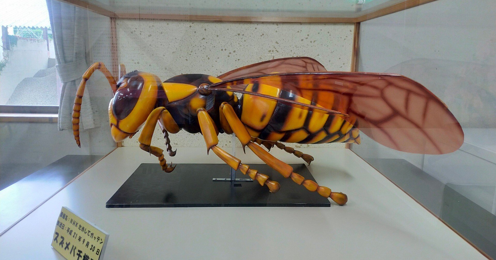 c3d8d8f5695d7e760aed34aa9c367c