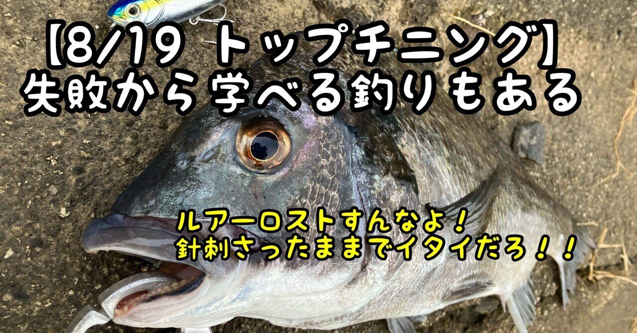 チニングトップ コラム】2023トップチニング振り返り（総集編）｜ぐっちあっきー