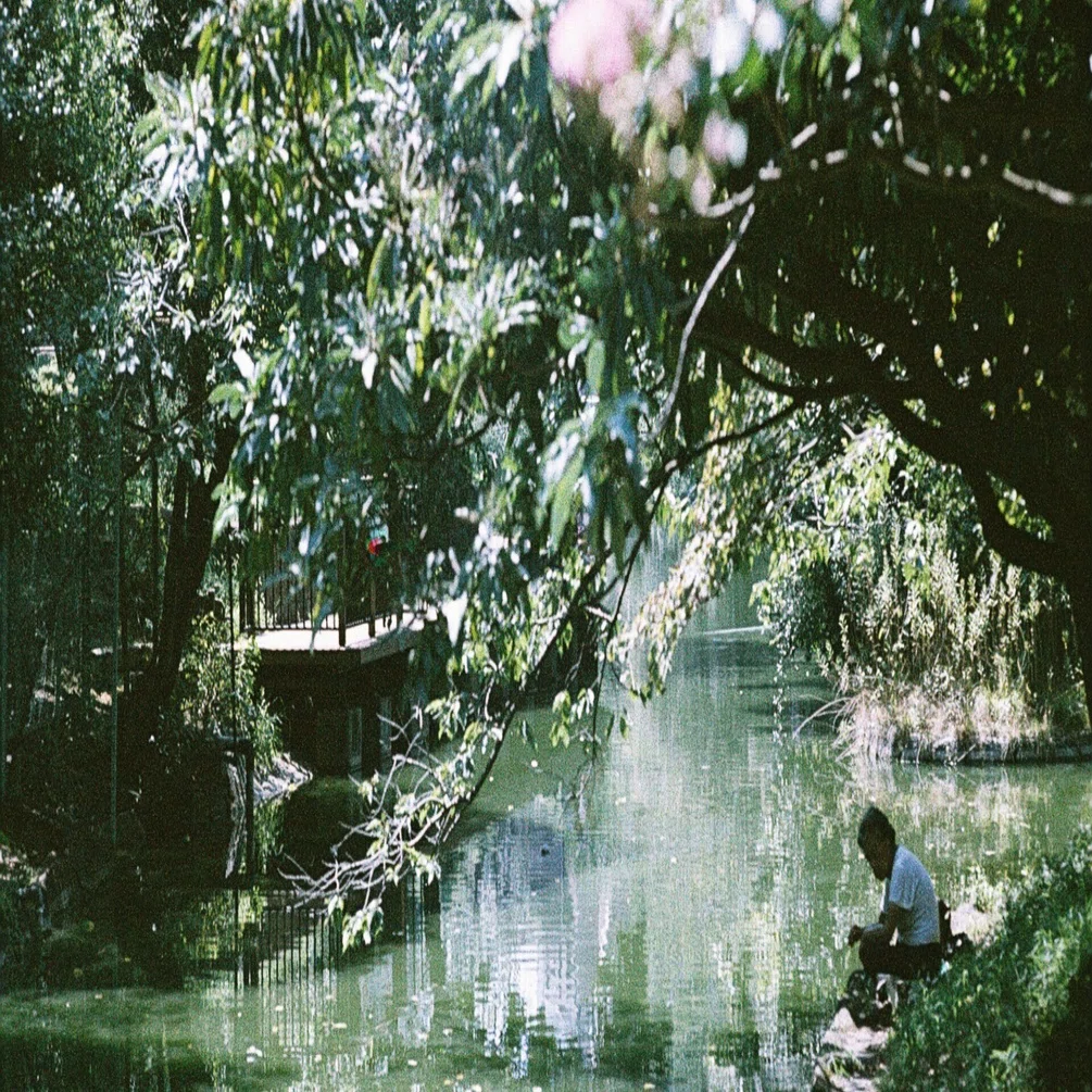 LomoChrome Color '92 35mm ISO400｜Yoshimin📸(ライカスキー)