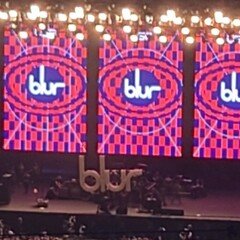 追悼ディエゴ・マラドーナ｜モリマサシ / THE FOREST