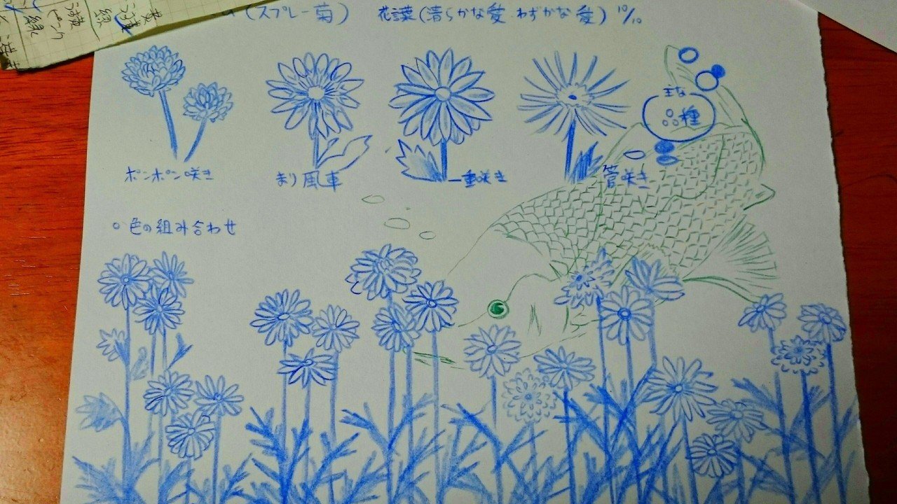 菊の品種 大体 と色の組み合わせ表の 下書きです 色鉛筆で一発書き 一発書きはスカッとしますね 後は 水彩色鉛筆で着色するだけ 色鉛筆 線画 下書き Murasaki Note