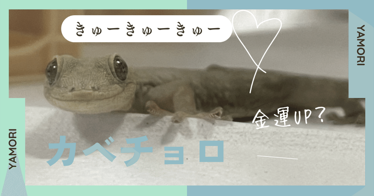 きゅーきゅー鳴く「カベチョロ」