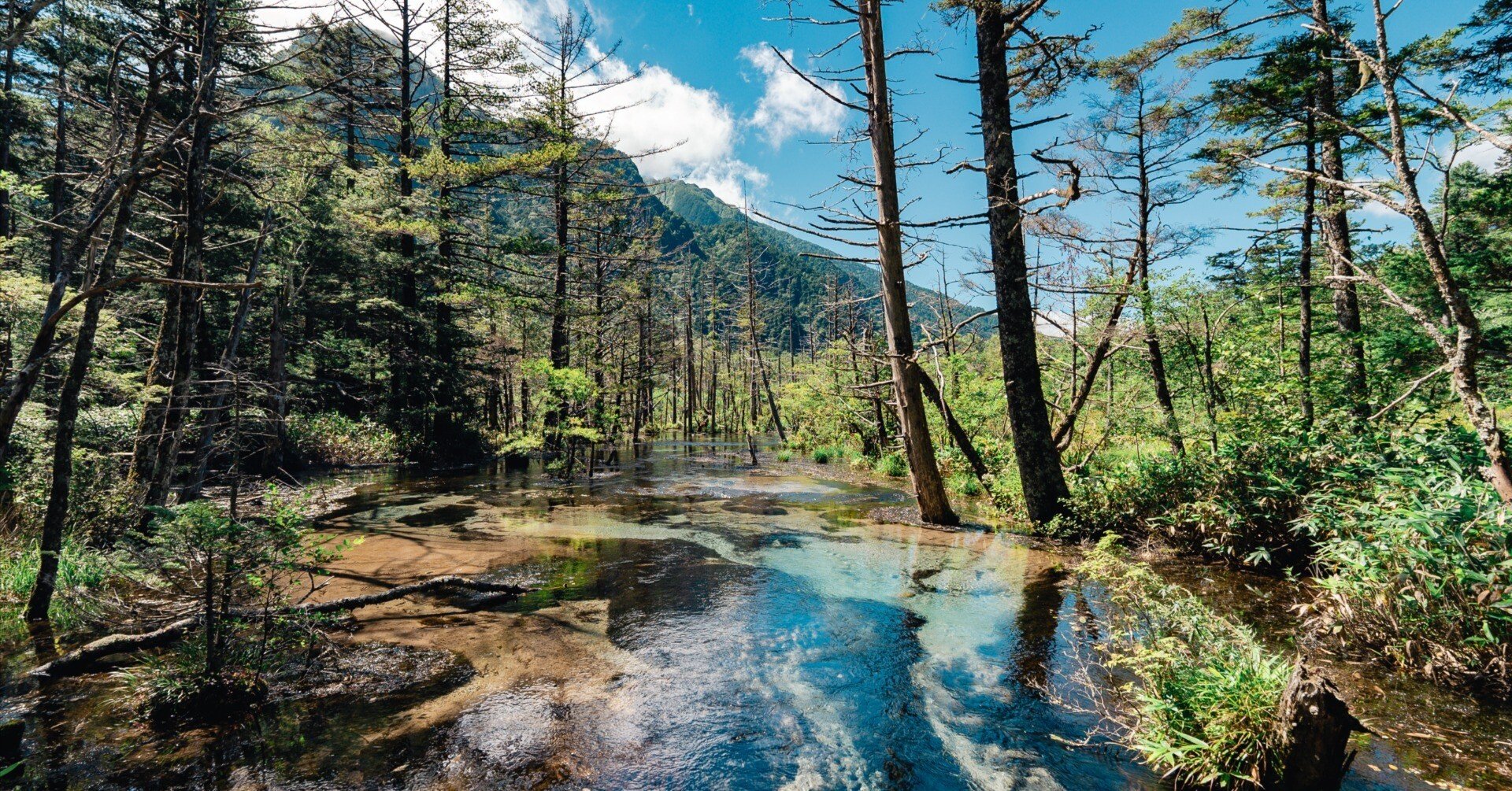 ea01c8601f81bc13dd776b12a9a473