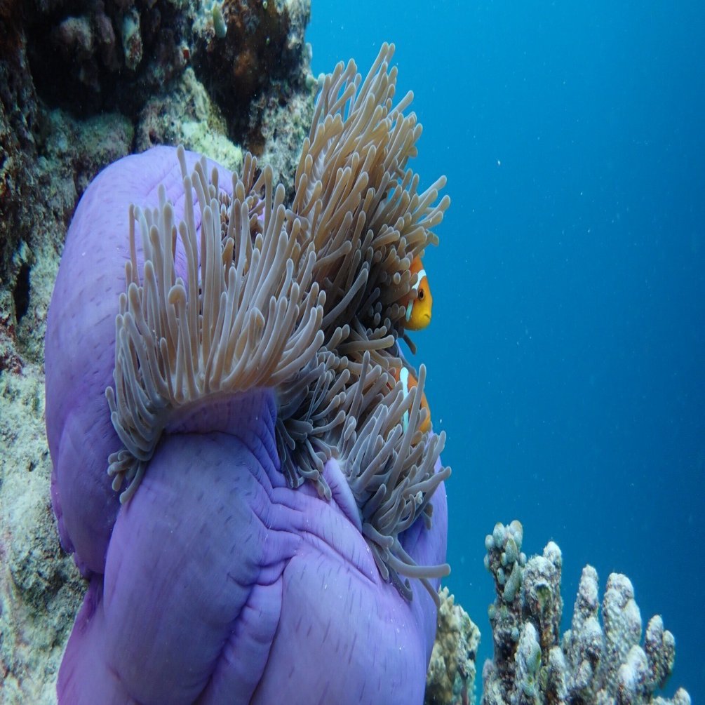 ダイバー社員が作りたかったのはどこでも撮れるタフなカメラ〜社内の