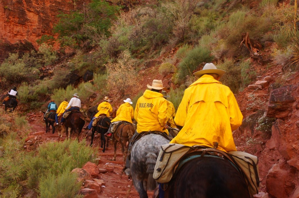 アメリカで出会った１００の光景 No.5＜大自然の絶景＞グランドキャニオン・サウスリム の広さと深さ｜シカノミエ