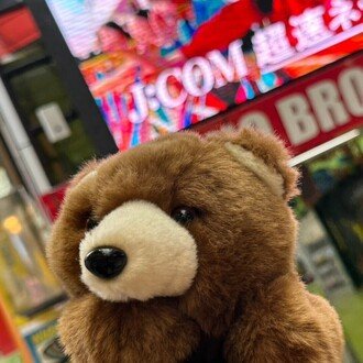 しらべちゃうアニマル