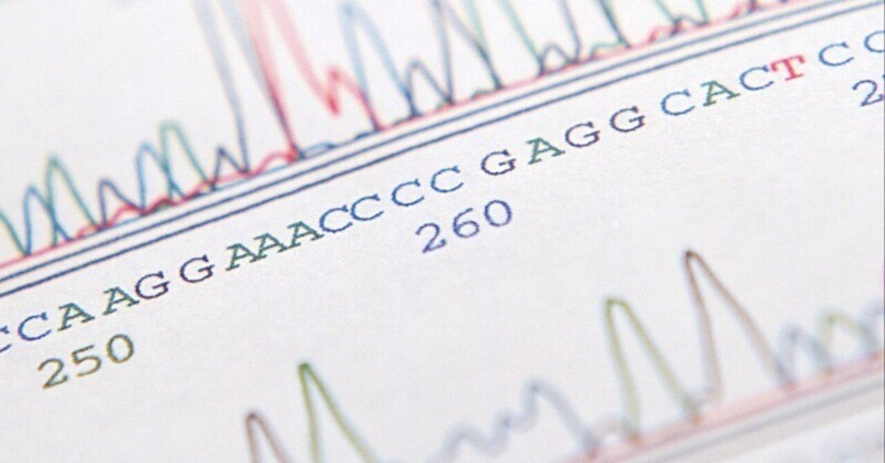 ビタミンとサプリメント