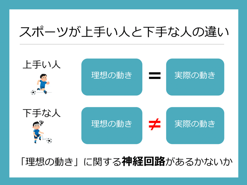 スポーツ英才教育 幼児の運動神経を高める家庭の子育て べねっち Note スポーツ英才教育 幼児の運動神経を高める家庭の子育て べねっち Note
