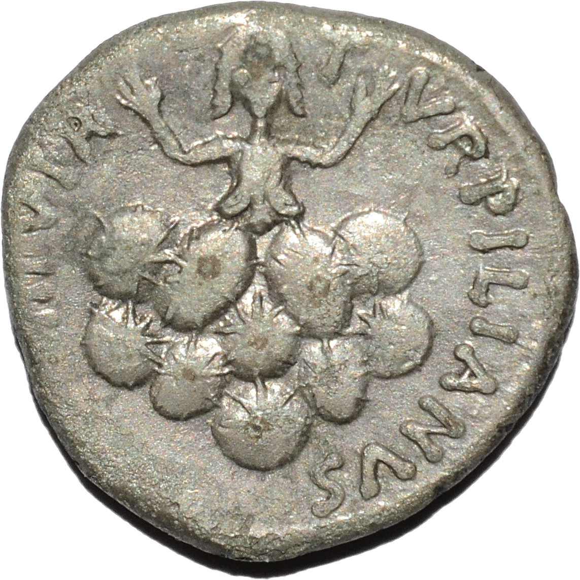 アンティークコインの世界 | ローマ建国神話 裏切りのタルペイア｜Shelk🦋