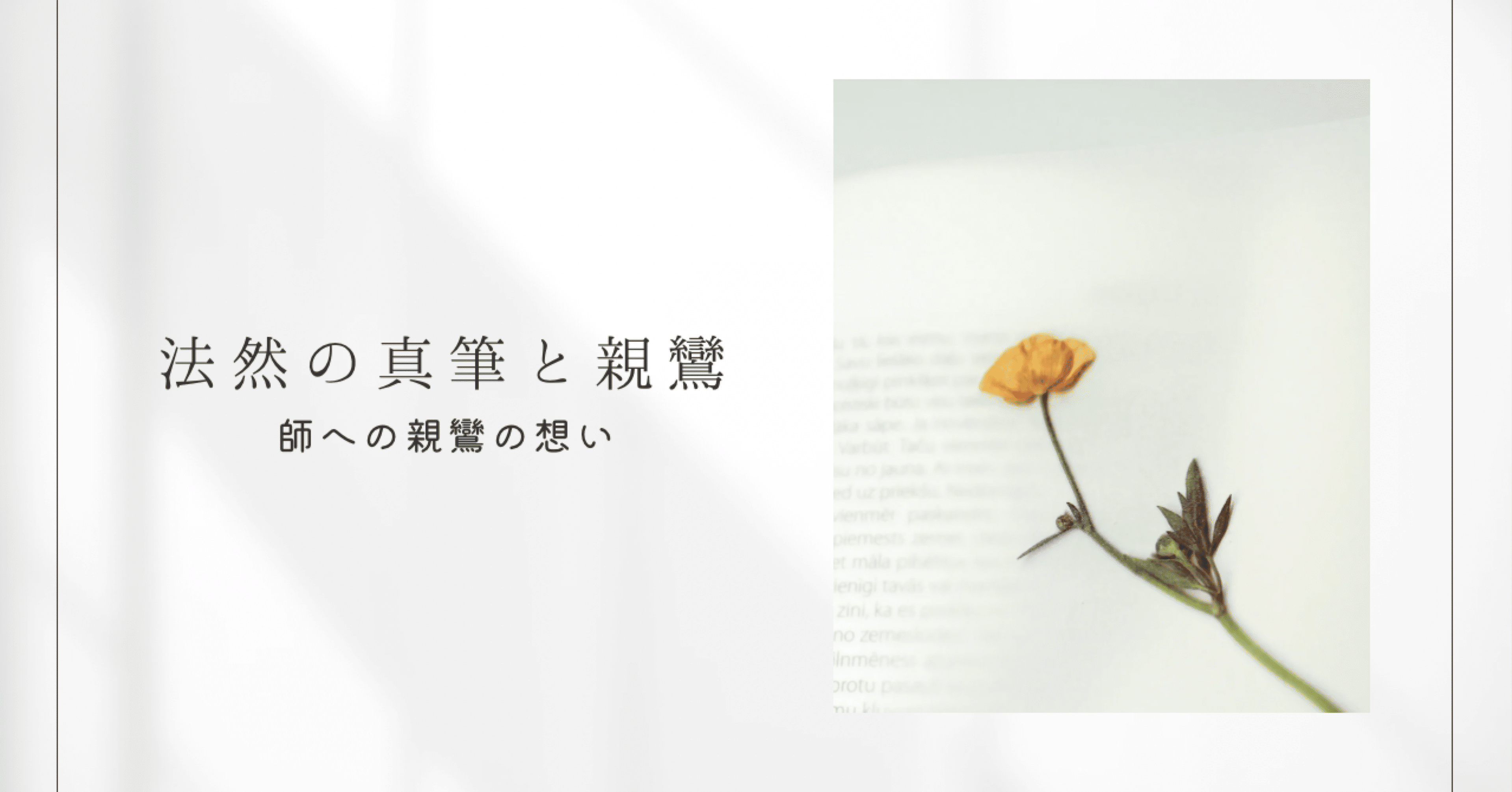 【古筆極札】◆『 親鸞上人 御文 』 親鸞聖人 親鸞◆検）法然 空海 最澄 仏像 Yahoo!オークション -「親鸞聖人」(書) (美術品)の落札相場