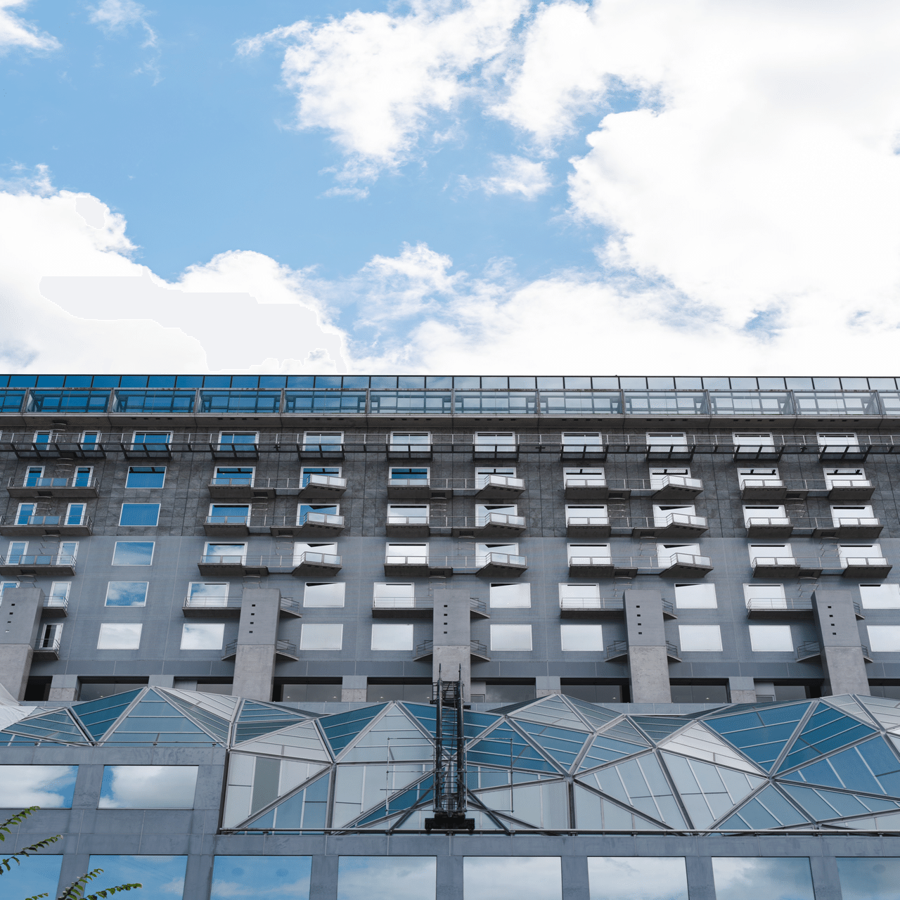 最高にちょうどいい50mm。【LUMIX S 50mm F1.8】｜don