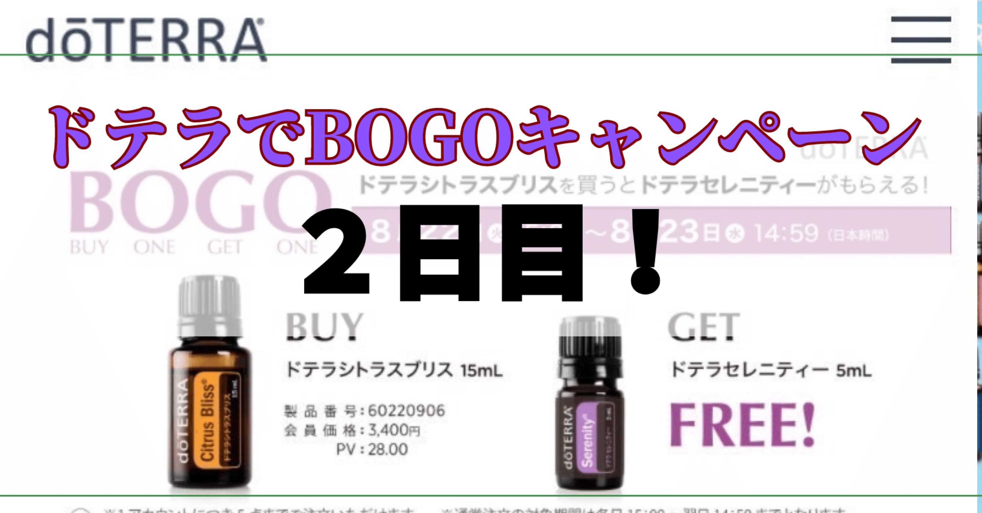 ドテラBOGOキャンペーン2日目！｜さとみん