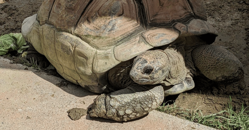 自然動物館（写真大量です）　数年ぶりの東山動植物園　その3.5