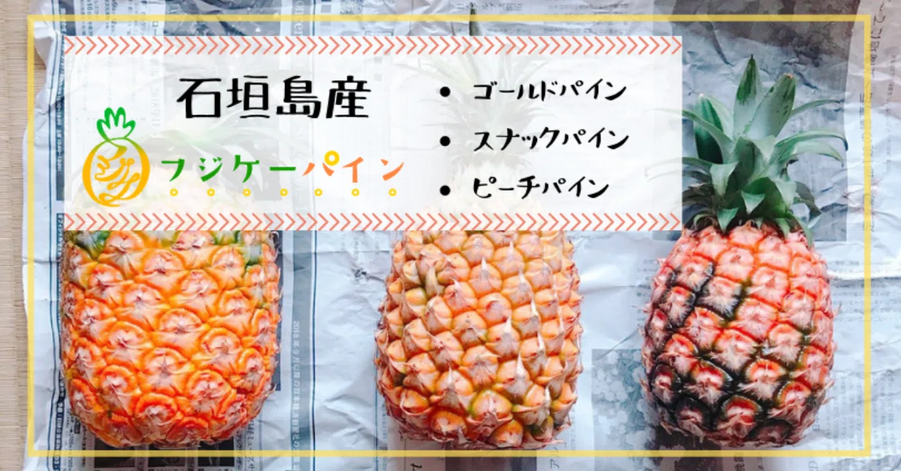 食レポ】石垣島のパイナップル3種食べ比べてみた｜ごま