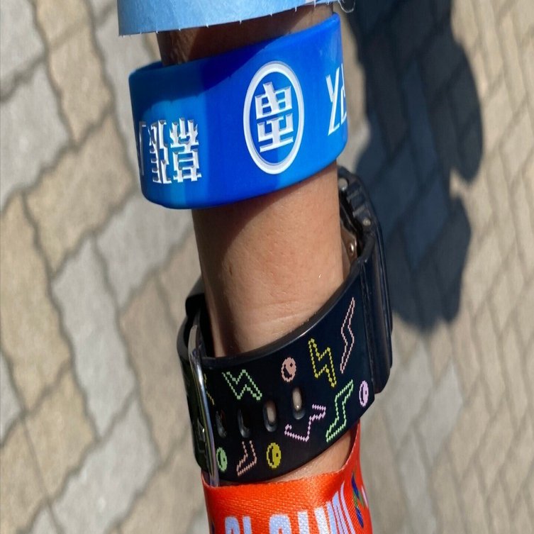 サマソニ：プラチナチケットどうだったか｜やすのすけ