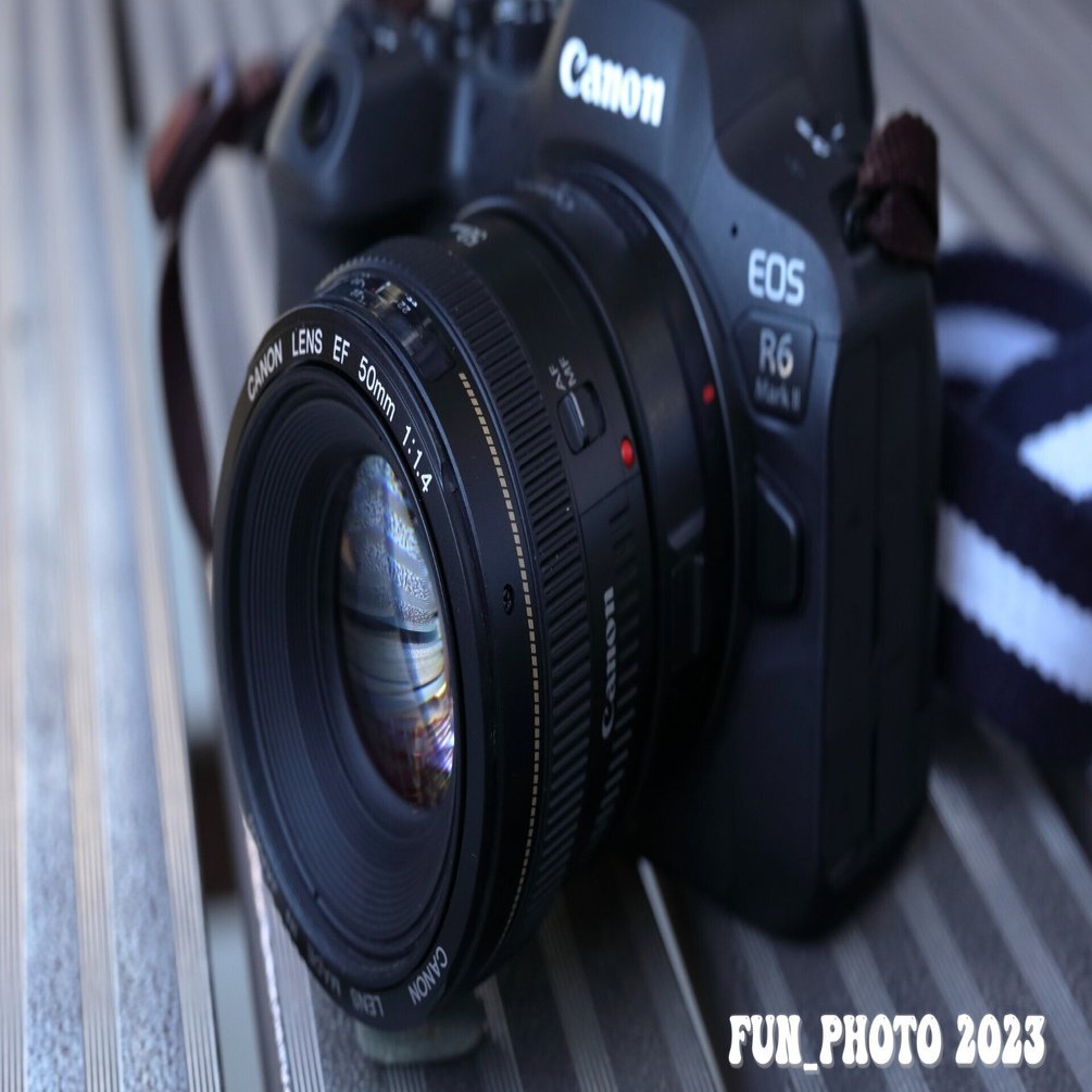 Canon EF50mm F1.4 USM キレイ Canon EF 50mm f/1.4 USM Lens 2515A003 - Adorama