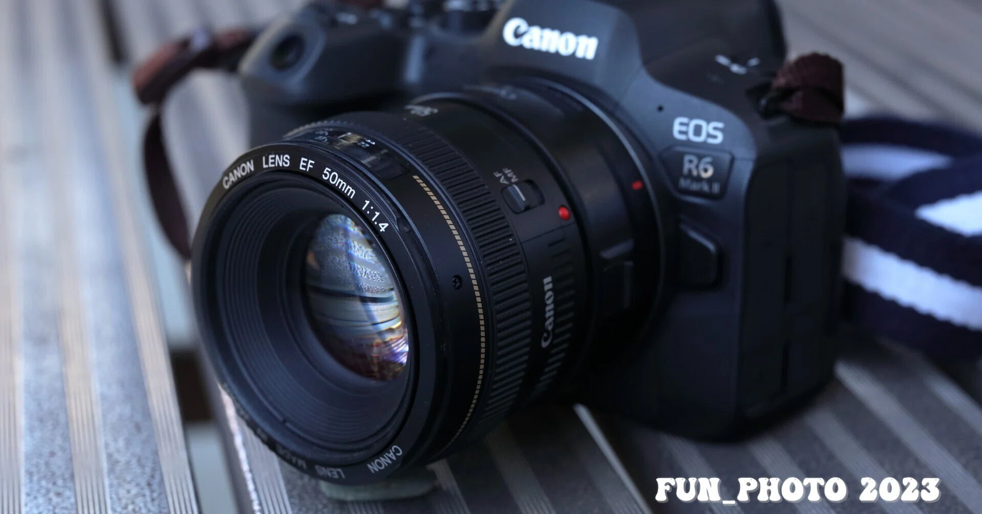 懐古的な EF50mm F1.4 USMとR6MarkⅡ|fun_photo 懐古的な EF50mm F1.4 USMとR6MarkⅡ|fun_photo