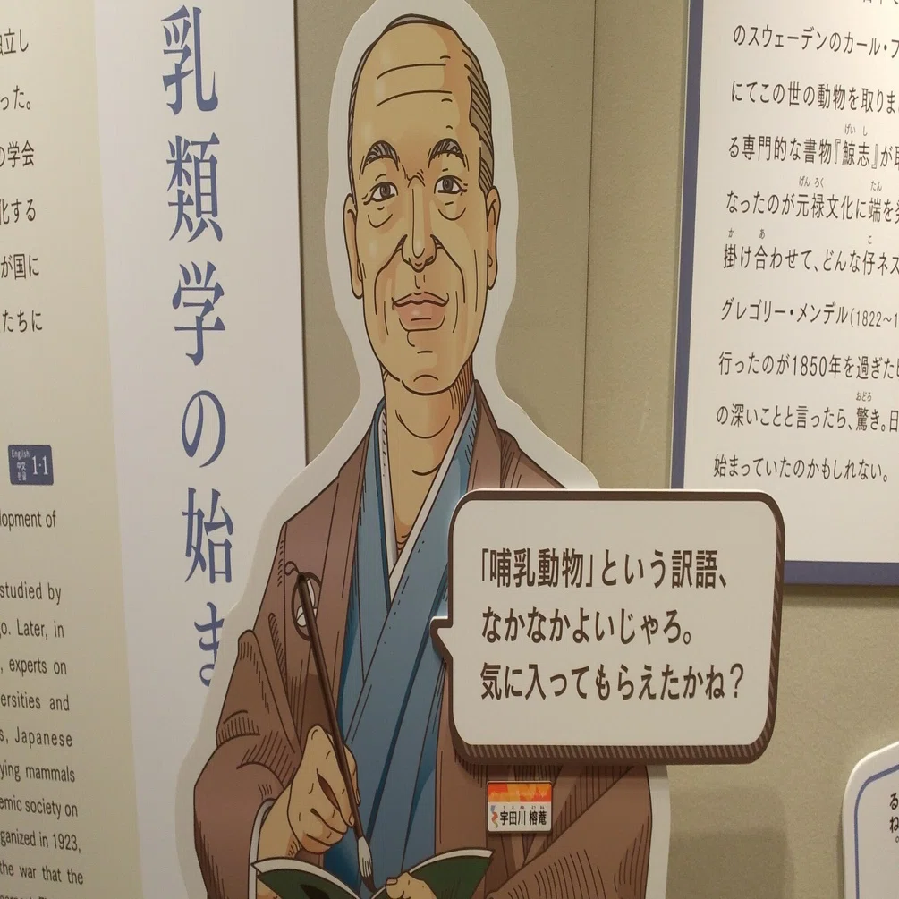 ぼくは哺乳類が好きだ｜四賀マイル