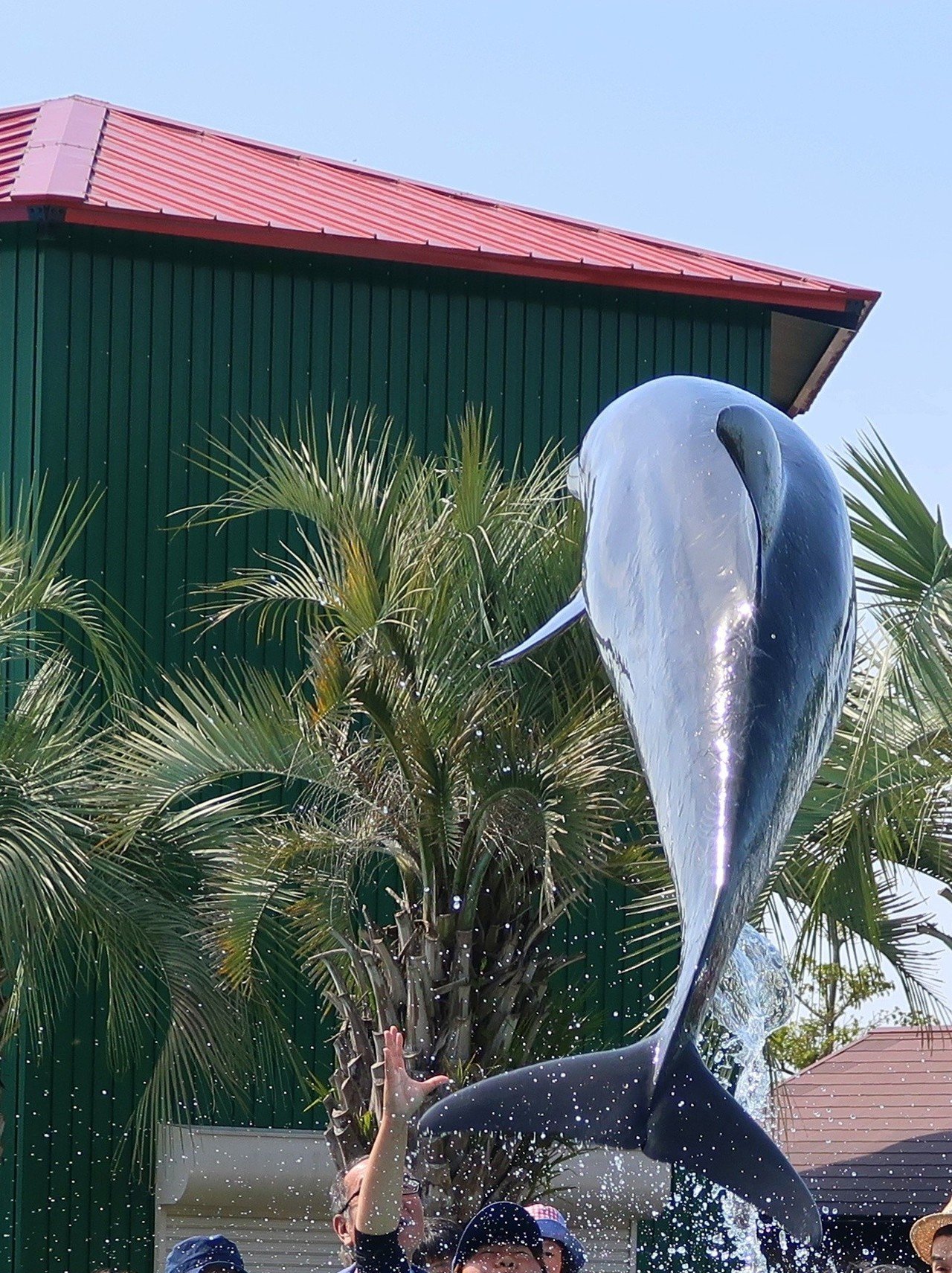 イルカが飛んだ日 Colon Note