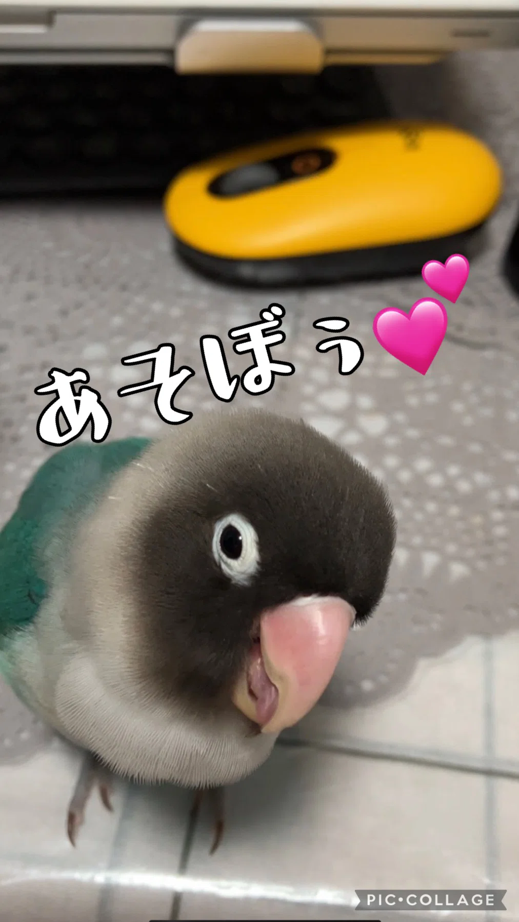 https://www.instagram.com/reel/CwSJTgspdbE/?igshid=MzRlODBiNWFlZA==