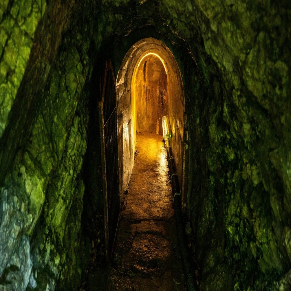 1年を通じて気温が15度以下！涼みながら日本有数の洞窟滝を