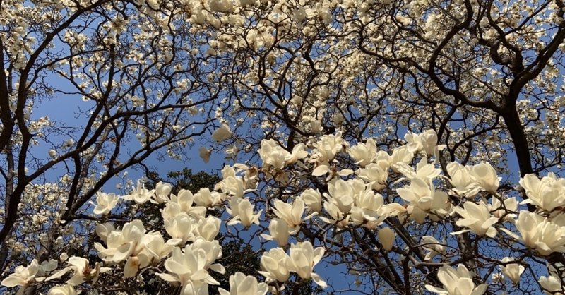 5月だけど３月の毎日。