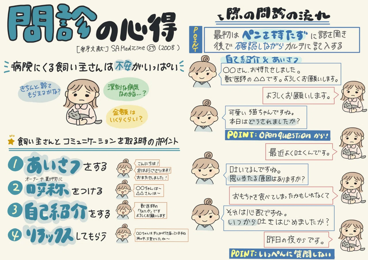問診・視診・触診・聴診｜勉強するなにか