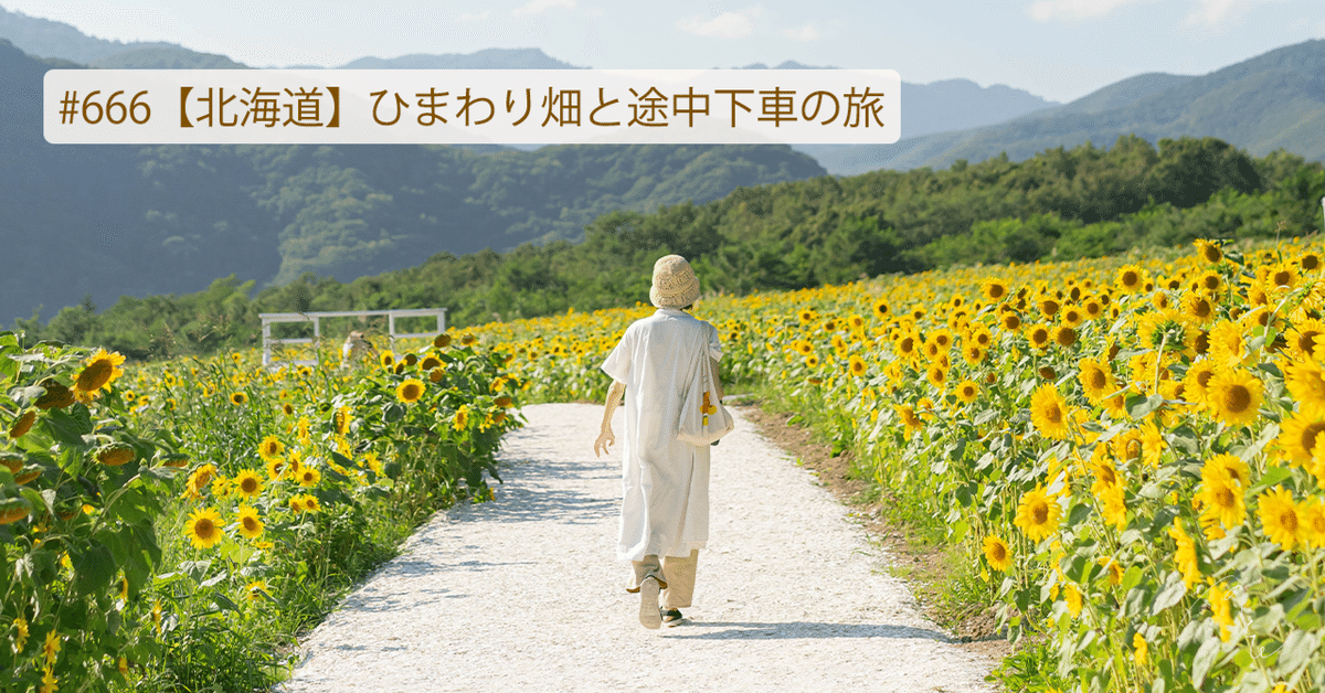 ひまわり畑 圧巻のひまわり畑や、南国ムード満載の屋外スポット。今年の夏は