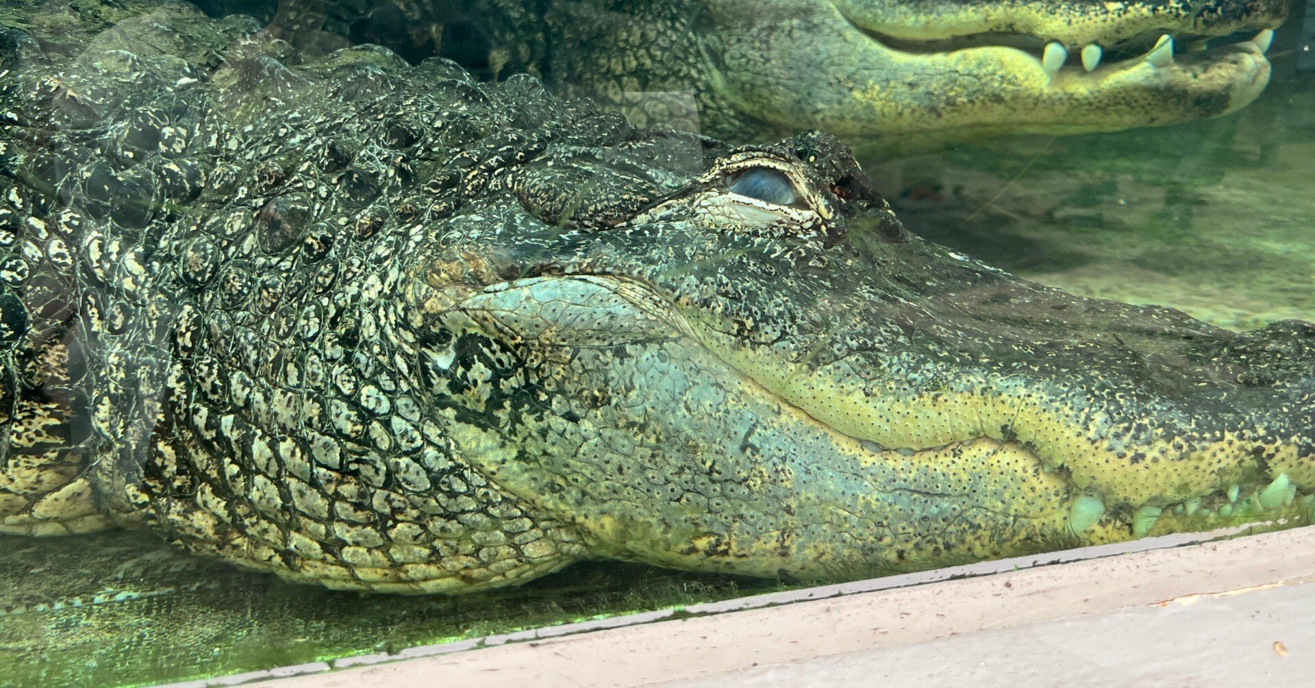 3aa5e77308c800964c47ff3ecf78e3