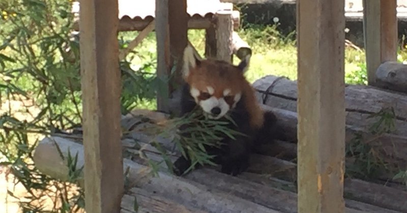 南海電鉄が撤退を決めた みさき公園 の現状を確かめに行きました 河野陽炎 プロ資格マニア 保有資格30ほど 失効4 放送大単位 Note 南海電鉄が撤退を決めた みさき公園 の現状を確かめに行きました 河野陽炎 プロ資格マニア 保有資格30ほど 失効4 放送大単位 Note