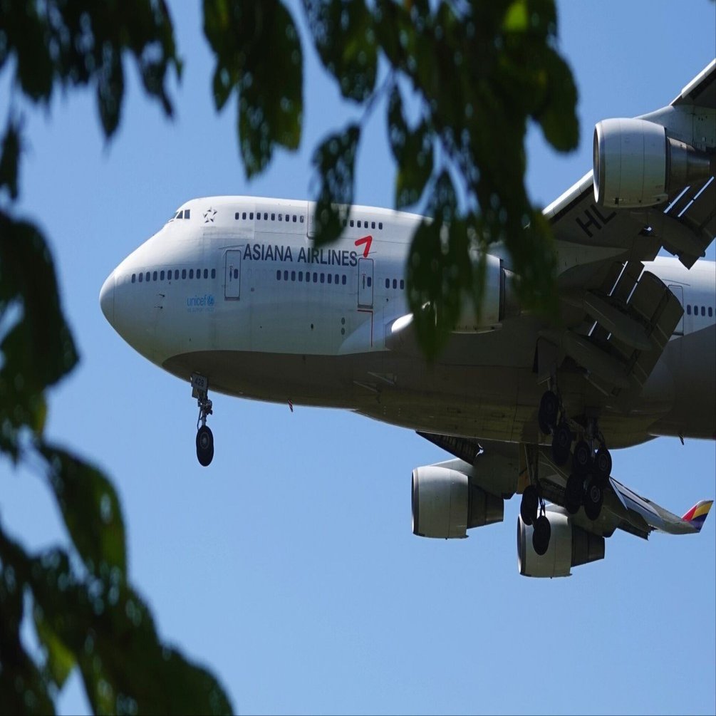 ジャンボ機、新千歳に｜やぶ悟空