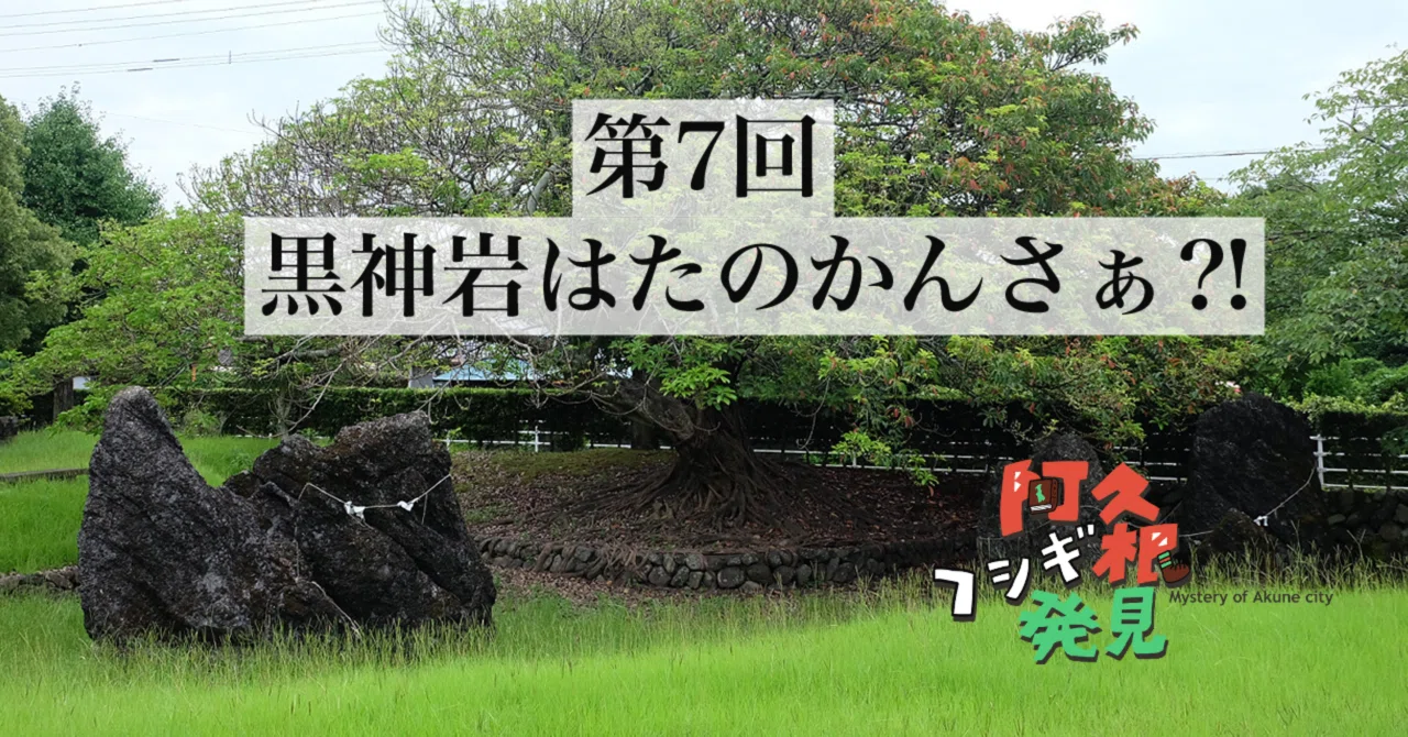 さあハタ （野食ハンター茸本朗が絶賛するイタチウオを食べた結果 