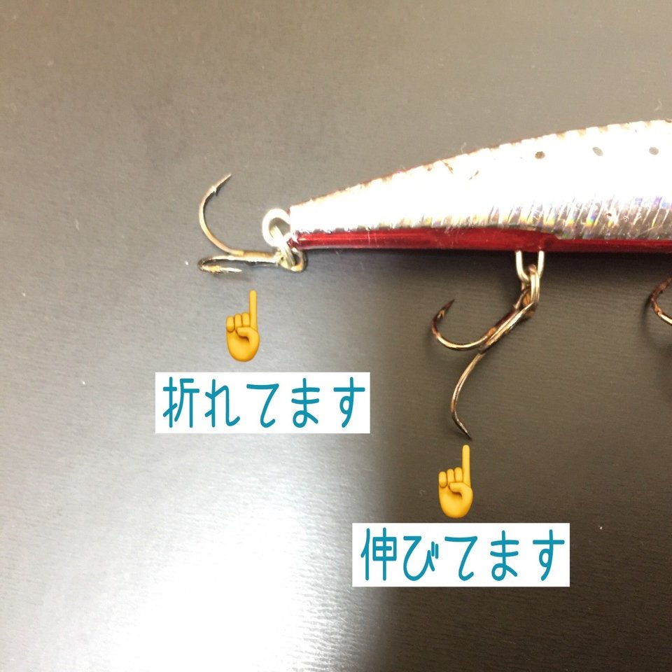 19 5 1 鳥取港 ばかにしててごめんね エリア10 今日のアジはどんな味 たのしいアジングと激うまレシピ Note