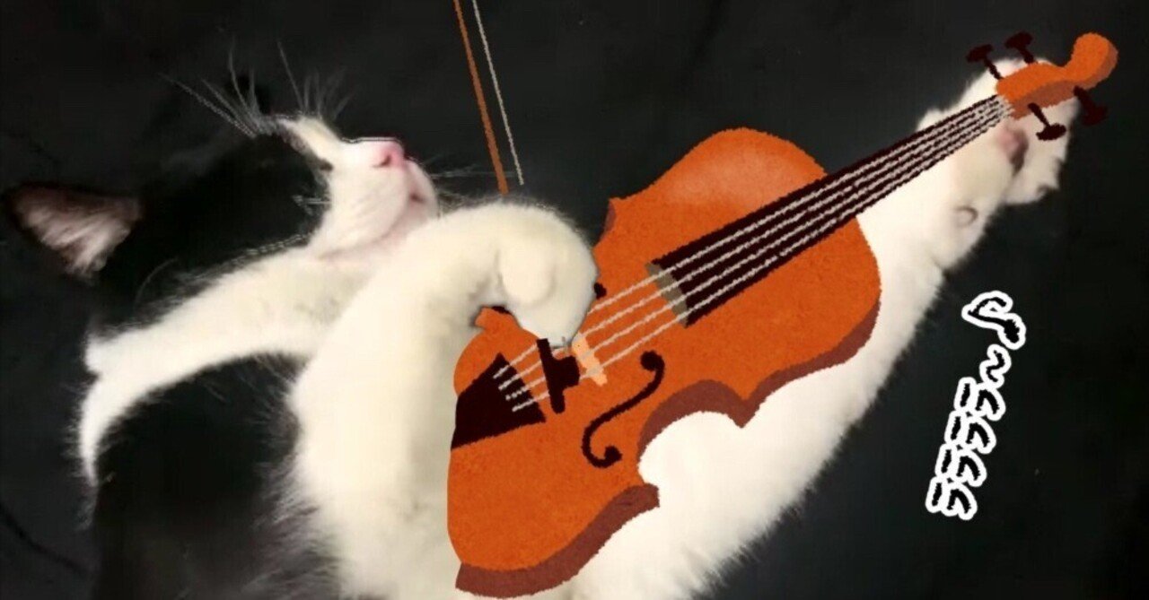 バイオリンのお稽古をする猫
