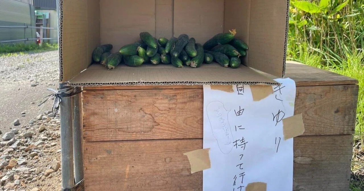 A Gentle World Created by Cucumbers and Corn｜sono