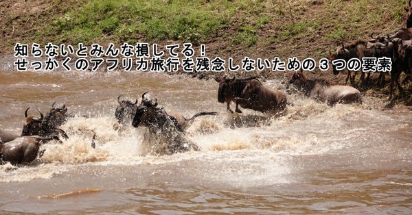 まるまるサファリの本』＊サファリ取材の裏ばなし - ケニア